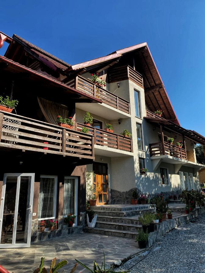 Vila Sorina Borşa Exterior foto