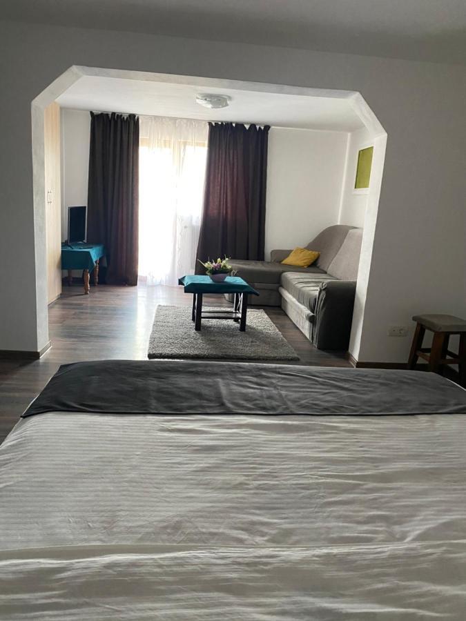 Vila Sorina Borşa Exterior foto