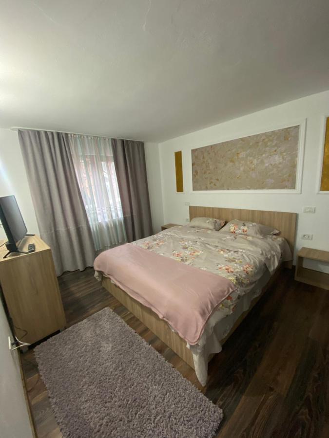 Vila Sorina Borşa Exterior foto