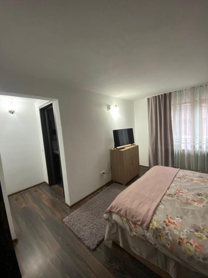 Vila Sorina Borşa Exterior foto