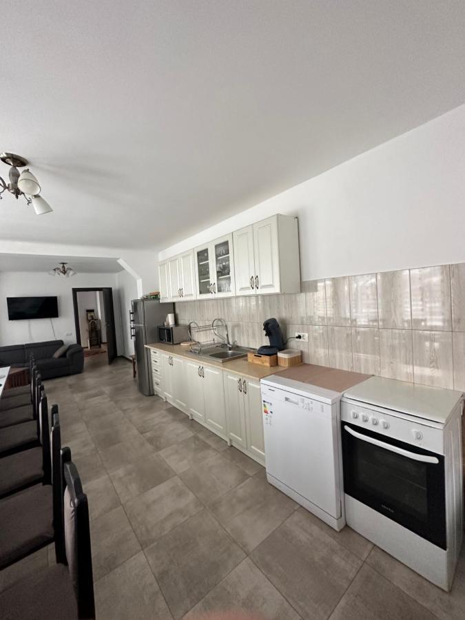 Vila Sorina Borşa Exterior foto